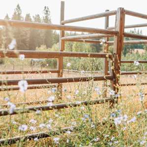 Romantic Luxury Wilderness Yurt