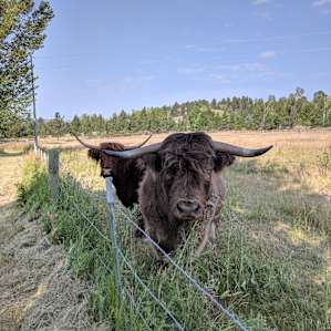 Glamping Tents on 80 Acre Ranch
