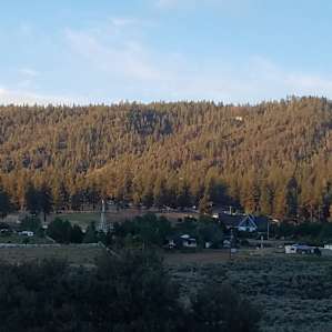McGill Campground