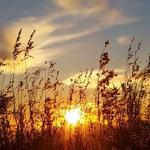 Amazing sunrises!