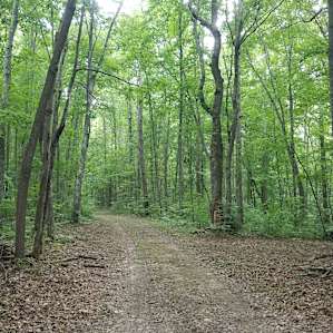 Eastern Highland Rim Adventure