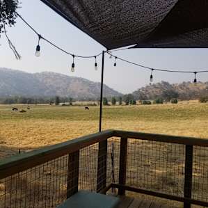 Pasture Cabin- Secluded