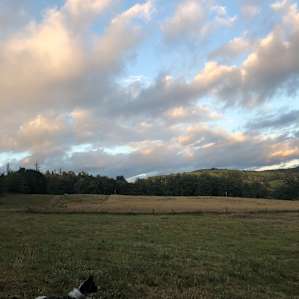 Camp at The Brew Farm!