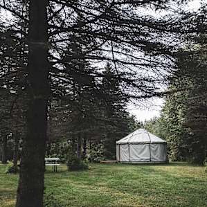 Yurt in the Pines