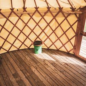 Yurt in the Pines
