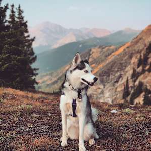 Glacier Mountain Camp
