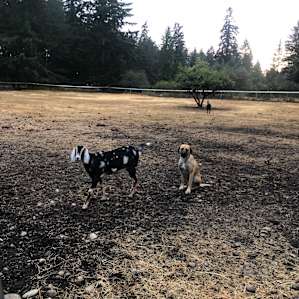 We made lots of nice friends at the ranch