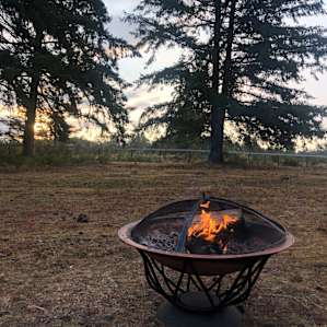 Perfect little fire pit to sit around.