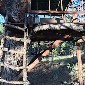 this awesome treehouse onsite, perfect for kiddos and kids at heart!