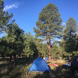 Our first evening there, setting up camp. The only sounds we could hear were the cows nearby and a train faintly chugging along in the distance! So peaceful and serene. The sound of wind rustling through the trees was very lovely too.