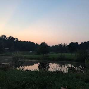 Fire Fly Cove