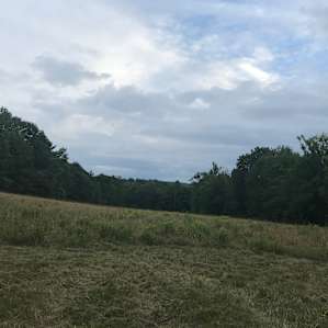 Coy Mountain Camp