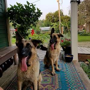 Bicycle Farm - rural retreat