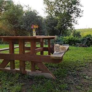 Bicycle Farm - rural retreat