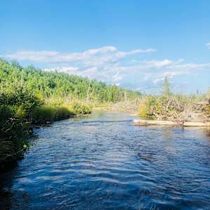 Beautiful creek shallow enough to take a hike in!