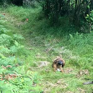 Hiking trails...or resting trails depending on who you are...