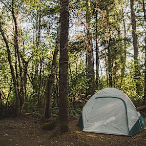 tent forest lodging