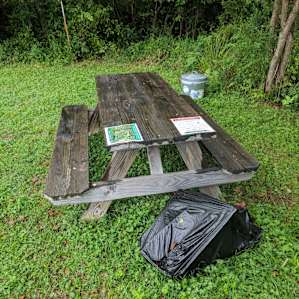 Rain arrival with map and emergency contact info. And...dry wood!