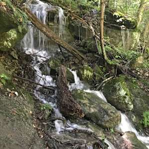 Waterfall on kildo trail (15 min drive from campsite)