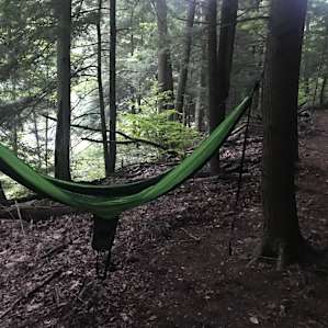 Campsote