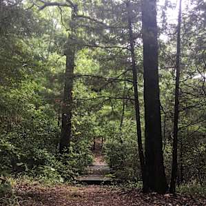 Peace, calm, and nature at it's finest.
