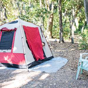 Waking up in Forest Haven