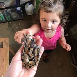 Snakes!