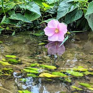 Tippecanoe Riverside