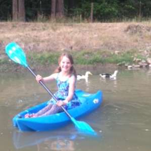 Ducks in the pond