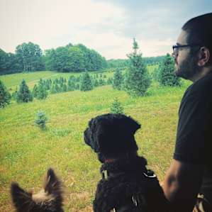 Surveying the landscape