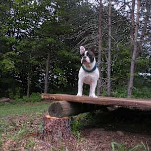 Mountain Home Tent Sites