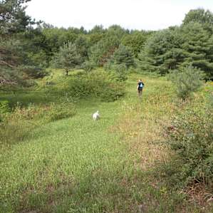 Mountain Home Tent Sites