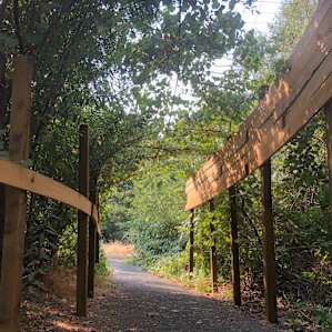 Take a romantic stroll under the arbor!