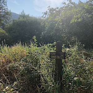 Labeled posts give you info about the local flora.