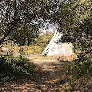 The larger tipi near us, but there is a communal fire pit in that space!