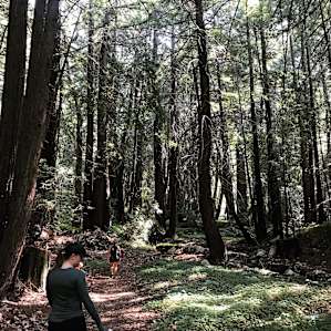 Mill Creek Trail - off of Nacimiento-Fergusson road