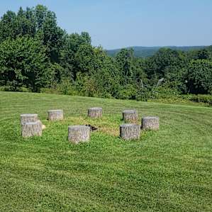 Mickelberry Forest Gardens