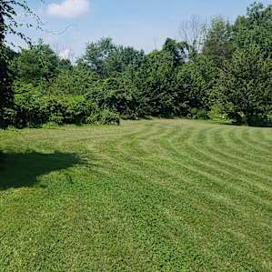 Mickelberry Forest Gardens