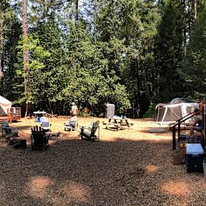 Shelterwood- Maple Landing Camp
