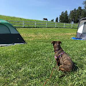 Lakeside Camp-Minutes to CVille
