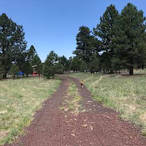 Parks Az/Grand Canyon Close