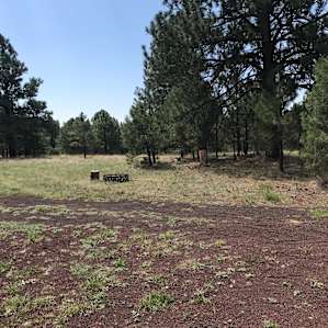 Parks Az/Grand Canyon Close
