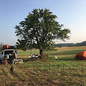We chose the lone tree spot with a great misty morning sunrise