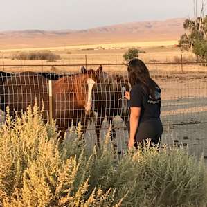 I was so luck to have so much love from the horses!