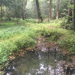 The pool of Mana. Seriously.