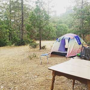 Despite the smoke from the nearby fires the meadow was quiet and beautiful to relax in.