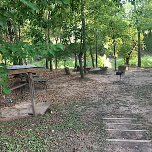 Tree house on Creek