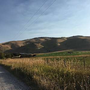 Rusty Nail Farm