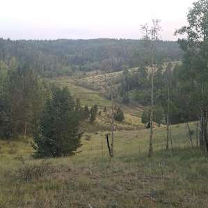 Brown Dog's Lookout