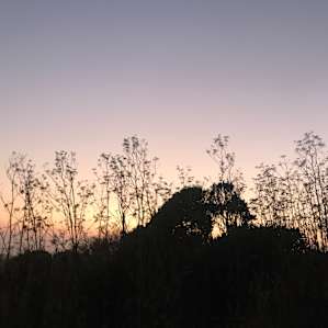 Another Sunset from Lone Tree